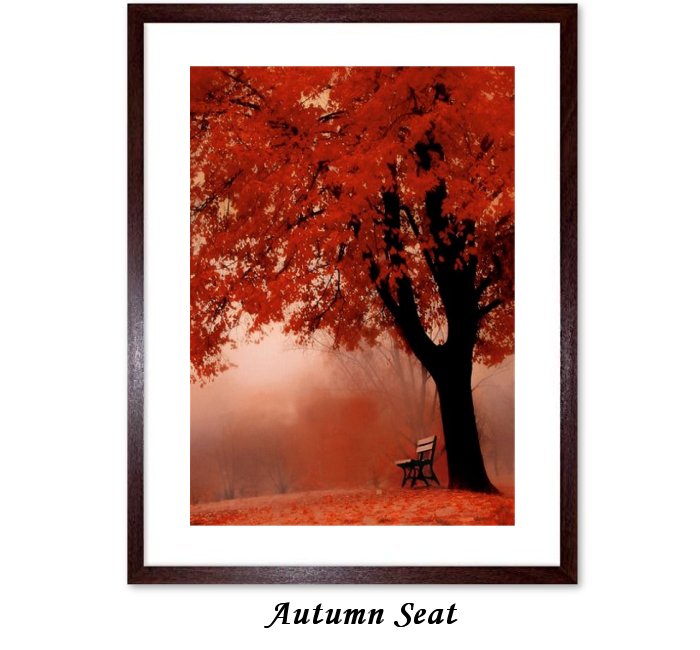 Autumn Seat-